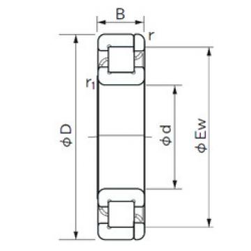 Bearing NP 320 NACHI