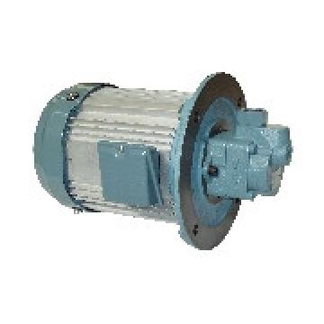 Best-selling  Japanese Daikin Pumps
